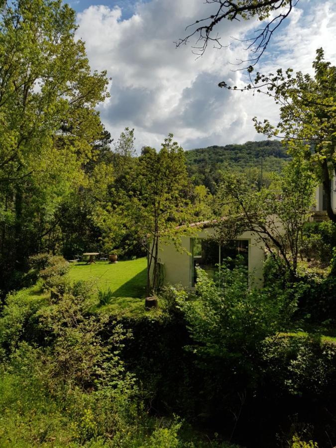 Beautiful Studio Surrounded By Nature Lanet エクステリア 写真