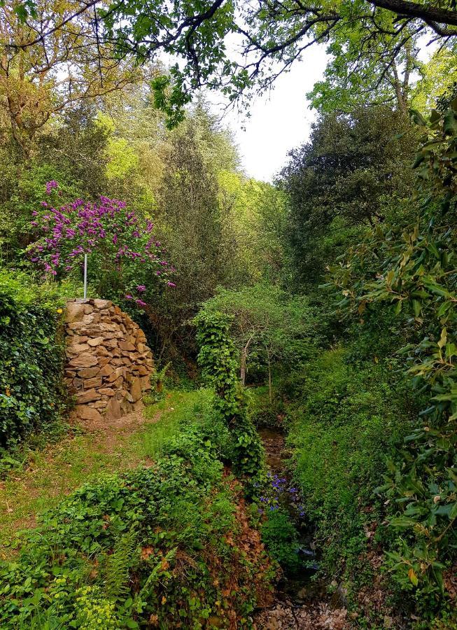Beautiful Studio Surrounded By Nature Lanet エクステリア 写真