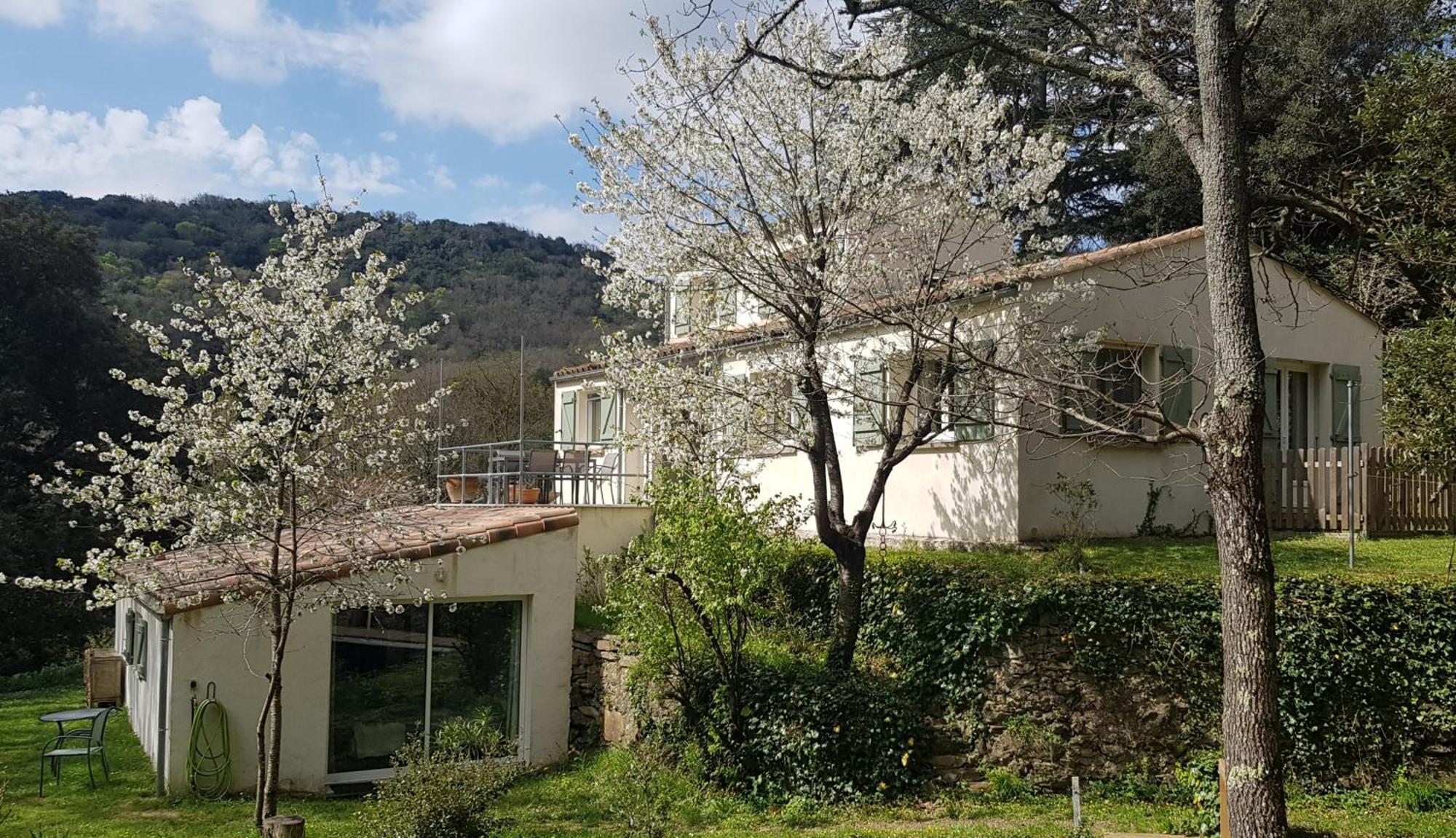 Beautiful Studio Surrounded By Nature Lanet エクステリア 写真